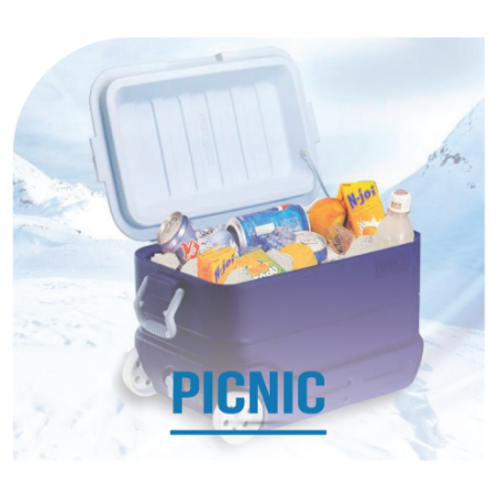 Picture for category Picnic