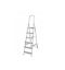 Picture of Sonecol Aluminium Ladder EA06
