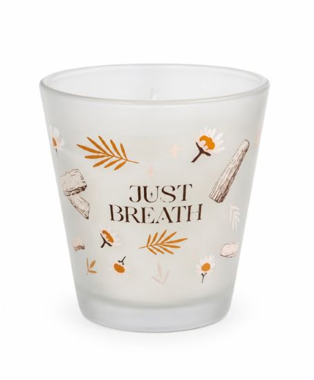 Picture of Glass Candle Sandalwood R130 HER230SU00022CP0005Y
