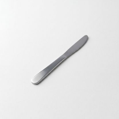 Picture of Casalinga Stainless Steel Knife 22/ 6 Pieces